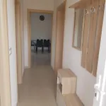 Vrdoljak *
